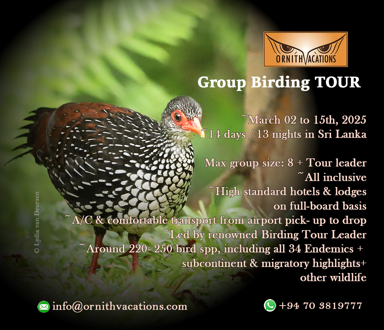 Group tour